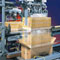 Robotic Machine